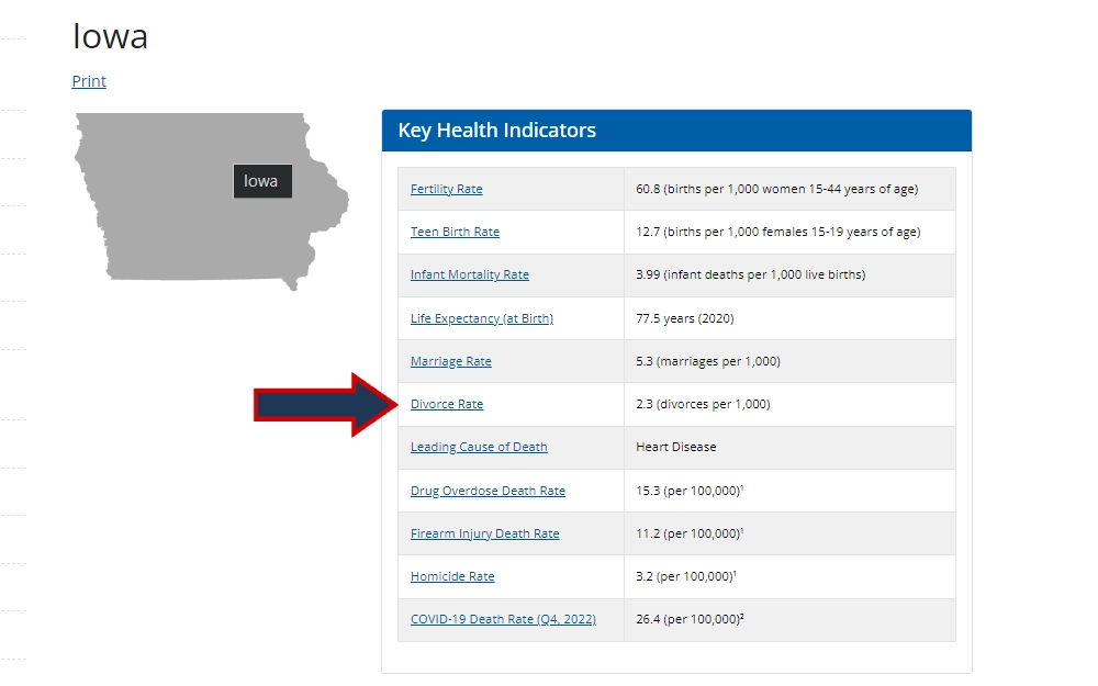 A screenshot of the National Center for Health Statistics displays Iowa's Key Health Indicators that provide valuable information, such as the Fertility Rate, Teen Birth Rate, Infant Mortality Rate, Life Expectancy at Birth, Marriage Rate, Divorce Rate, and Leading Cause of Death Rates.