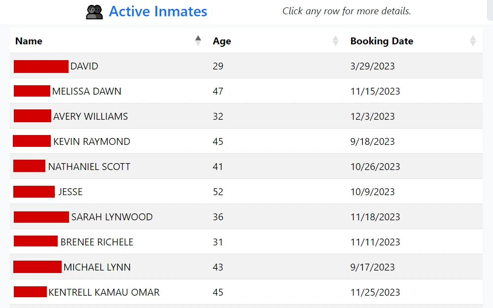 A screenshot of the search results of active inmates listing their names, ages, and booking dates.
